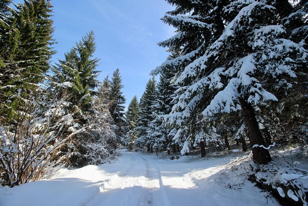 Snowshoeing trails on Trebevic mountain