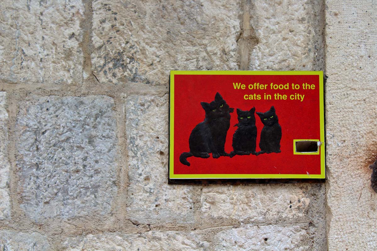 Cats Museum Kotor - Montenegro